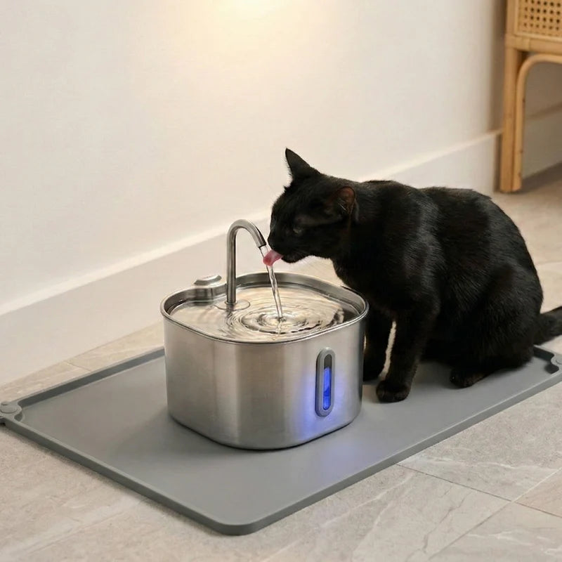 Your Cat Isn’t Drinking Enough Water